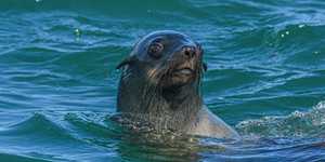 WhatsApp_Image_2022_04_26_at_10.39.51_AM_2__1650964588