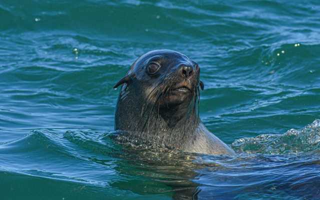 WhatsApp_Image_2022_04_26_at_10.39.51_AM_2__1650964588