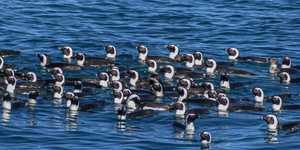 WhatsApp_Image_2022_04_26_at_10.39.52_AM_1__1650964589