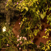 Garden - Rosemary's Country Kitchen & Deli - Xplorioâ„¢ Gansbaai