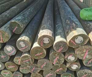 Treated Timber Products