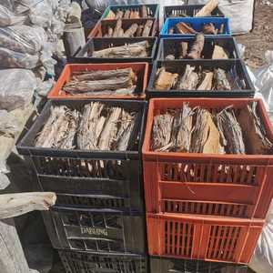 WhatsApp_Image_2022_04_28_at_8.59.19_AM_1651130240