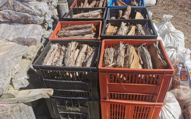 WhatsApp_Image_2022_04_28_at_8.59.19_AM_1651130240