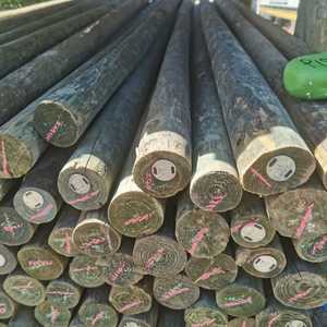 WhatsApp_Image_2022_04_28_at_8.59.19_AM_1__1651130241