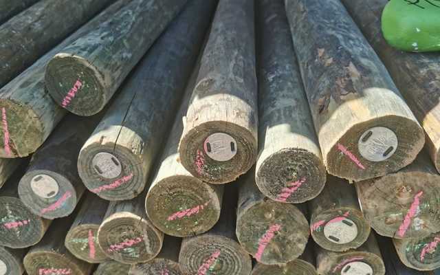 WhatsApp_Image_2022_04_28_at_8.59.19_AM_1__1651130241