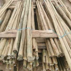 WhatsApp_Image_2022_04_28_at_8.59.20_AM_1651130242