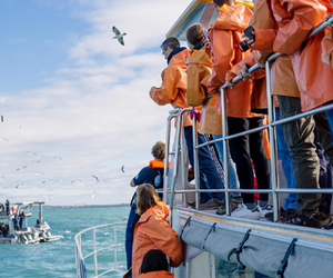 Next Dyer Island Marine Big 5 Tour: 30 April 2022