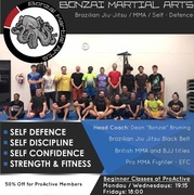 Bonzai Martial Arts:Â Beginner Classes
