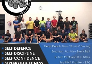 Bonzai Martial Arts:Â Beginner Classes