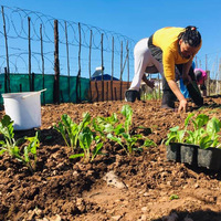 Valley Food Gardens - Xplorioâ„¢ Greyton