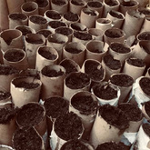 Growing Process -Valley Food Gardens - Xplorioâ„¢ Greyton