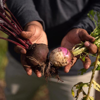 Valley Food Gardens - Xplorioâ„¢ Greyton