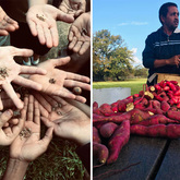 Community Upliftment - Valley Food Gardens - Xplorioâ„¢ Greyton