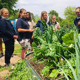 School Feeding Schemes - Valley Food Gardens - Xplorioâ„¢ Greyton