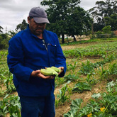 Garden - Valley Food Gardens - Xplorioâ„¢ Greyton