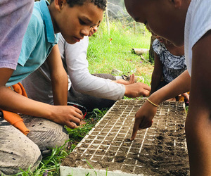 Food Valley Gardens - The Future Of Sustainable Gardening Is Here!
