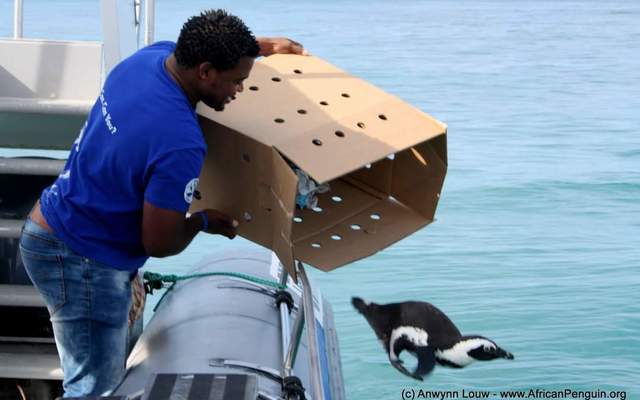 WhatsApp_Image_2022_05_04_at_12.10.08_PM_1651666001