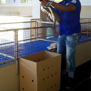 WhatsApp_Image_2022_05_04_at_12.10.09_PM_1651666002