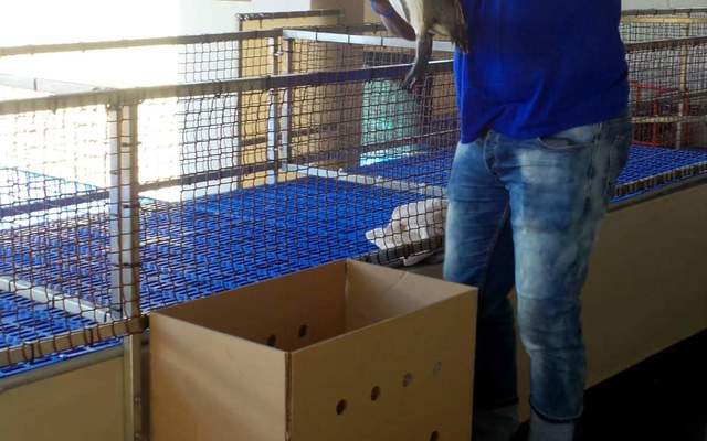 WhatsApp_Image_2022_05_04_at_12.10.09_PM_1651666002