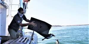 WhatsApp_Image_2022_05_04_at_12.10.10_PM_1651666003