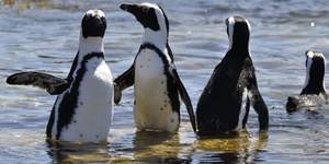 WhatsApp_Image_2022_05_04_at_12.10.13_PM_1651666003