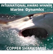 Next Marine Dynamics Shark Cage Diving Trip: 5 May 2022