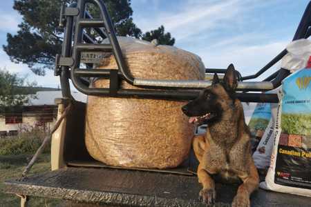 WhatsApp_Image_2022_05_05_at_5.32.44_AM_1651731345