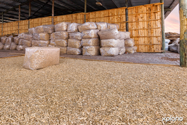 Aged Pine OffcutsÂ for Equestrian Stables and Chicken Farms!