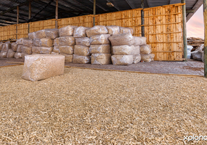 Aged Pine OffcutsÂ for Equestrian Stables and Chicken Farms!