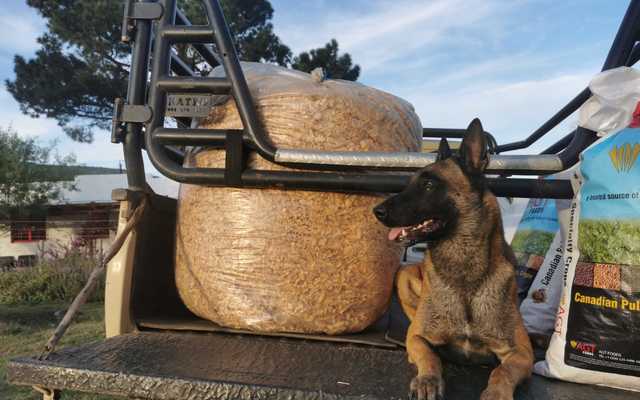 WhatsApp_Image_2022_05_05_at_5.32.44_AM_1651731490