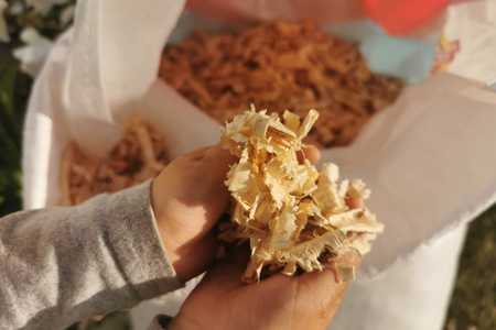 WhatsApp_Image_2022_05_05_at_5.32.45_AM_1651731555