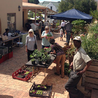 Local Market - RAW - Xplorioâ„¢ Greyton