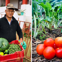 Fresh Tomatoes - RAW - Xplorioâ„¢ Greyton