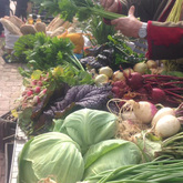 Organically Grown Vegetables - RAW - Xplorioâ„¢ Greyton