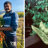 Organic Produce - RAW - Xplorioâ„¢ Greyton