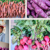 Locally Sourced Vegetables - RAW - Xplorioâ„¢ Greyton