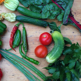 Fresh From The Garden - RAW - Xplorioâ„¢ Greyton