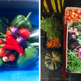 Veggie Boxes - RAW - Xplorioâ„¢ Greyton