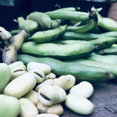 Freshly Grown Beans - RAW - Xplorioâ„¢ Greyton