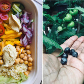 Healthy Diet - RAW - Xplorioâ„¢ Greyton