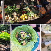 Fresh Organic Produce - RAW - Xplorioâ„¢ Greyton