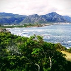 Roman Rock, Hermanus - Busy Kitchen - Xplorioâ„¢ Hermanus