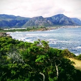 Roman Rock, Hermanus - Busy Kitchen - Xplorioâ„¢ Hermanus