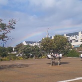 Hermanus Central - Busy Kitchen - Xplorioâ„¢ Hermanus