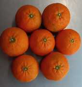 NaartjiesÂ for ONLY R6.90/kg