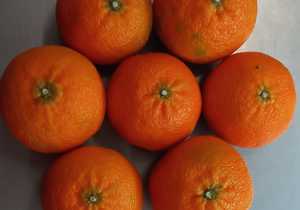 NaartjiesÂ for ONLY R6.90/kg