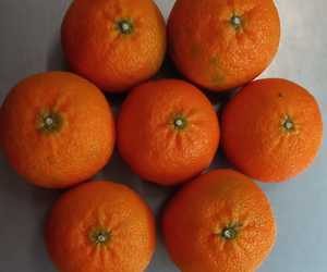 NaartjiesÂ for ONLY R6.90/kg