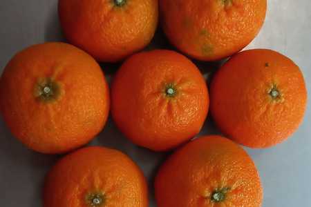 279633553_525847822523993_4979345627095016852_n_1652336670