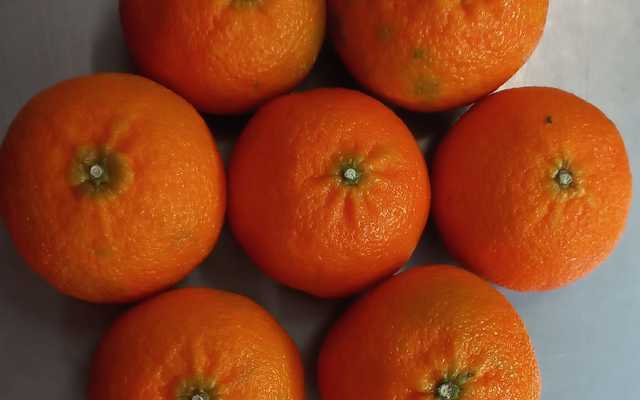 279633553_525847822523993_4979345627095016852_n_1652336670