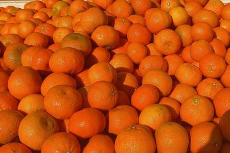 280193987_525847865857322_8008023346190086790_n_1652336670